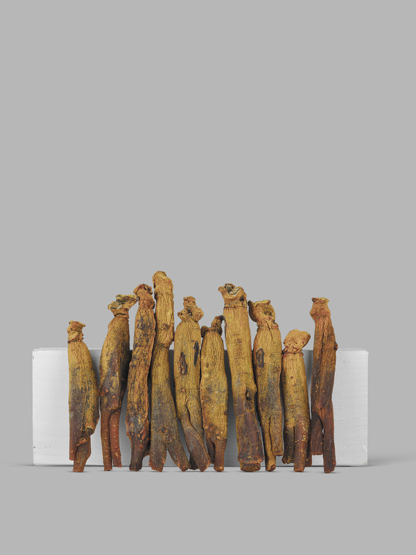 Legacy Root Heaven Grade 20ji 600g