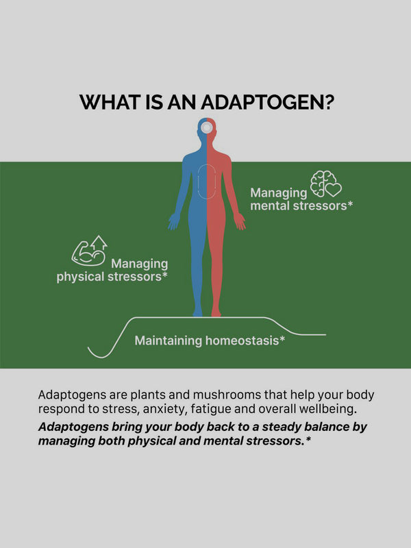 अश्वगंधा तनाव समर्थन कैप्सूल Rhodiola और मैग्नीशियम के साथ - KORESELECT