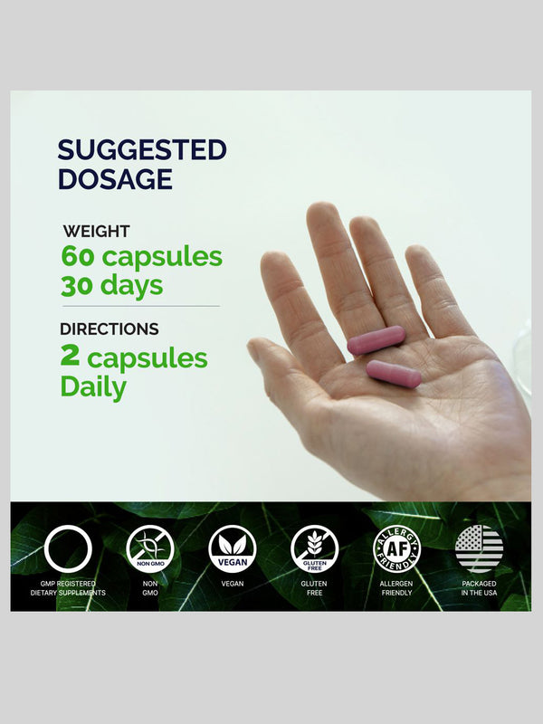 Elderberry with Panax Ginseng