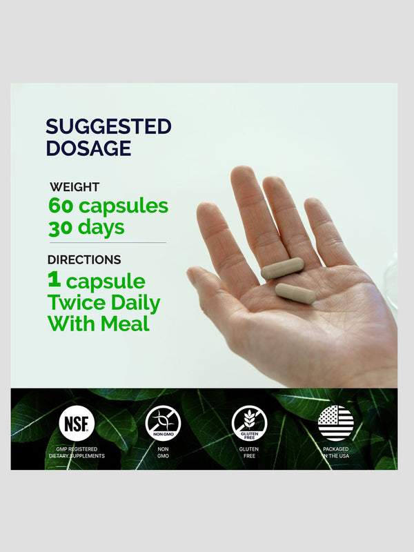 Enzyme Blend để hỗ trợ sức khỏe đường ruột tiêu hóa bổ sung với giấm táo Koreselect