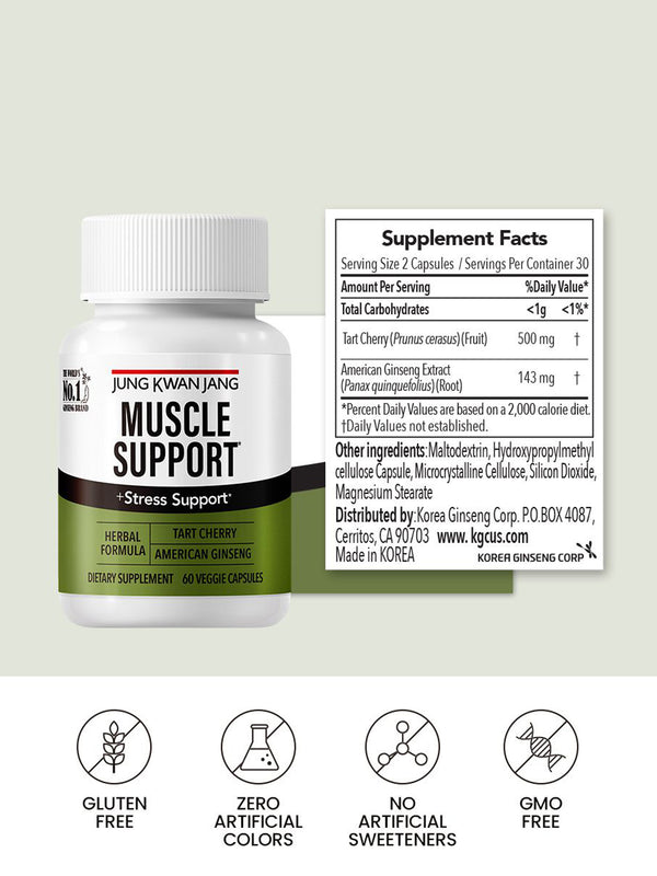 Muscle Support