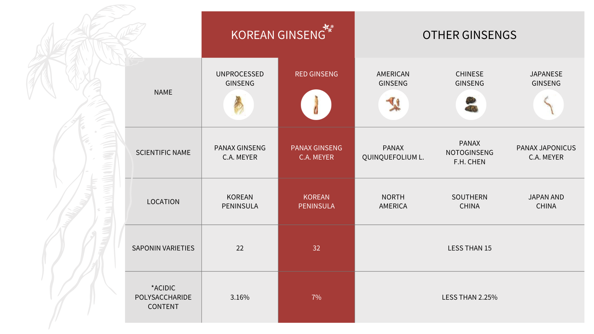 Korean Red Ginseng CheongKwanJang