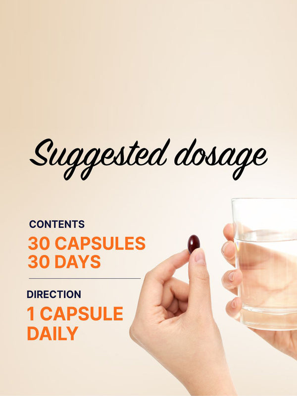 Cápsula Plus de Extrato Legacy