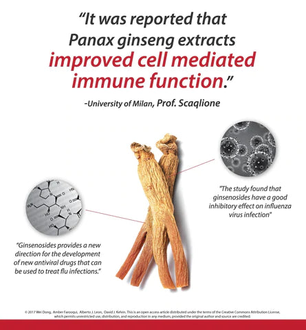 Los extractos de Panax ginseng mejoraron la función inmunológica mediada por células