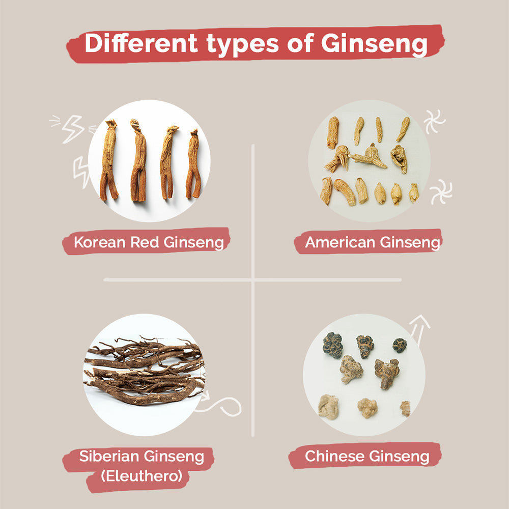 Descubra os melhores tipos de Ginseng para aumentar a energia e melhorar a saúde geral