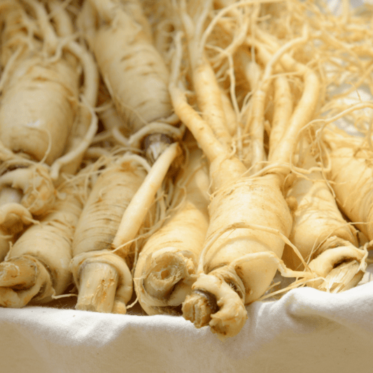 Ginseng Preparation