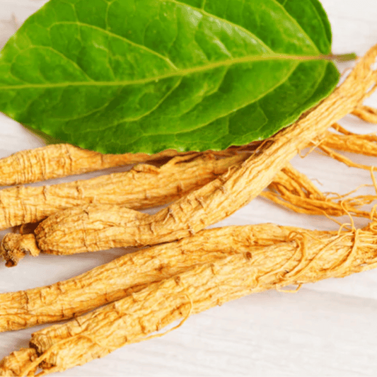 Clinical Studies On Ginseng