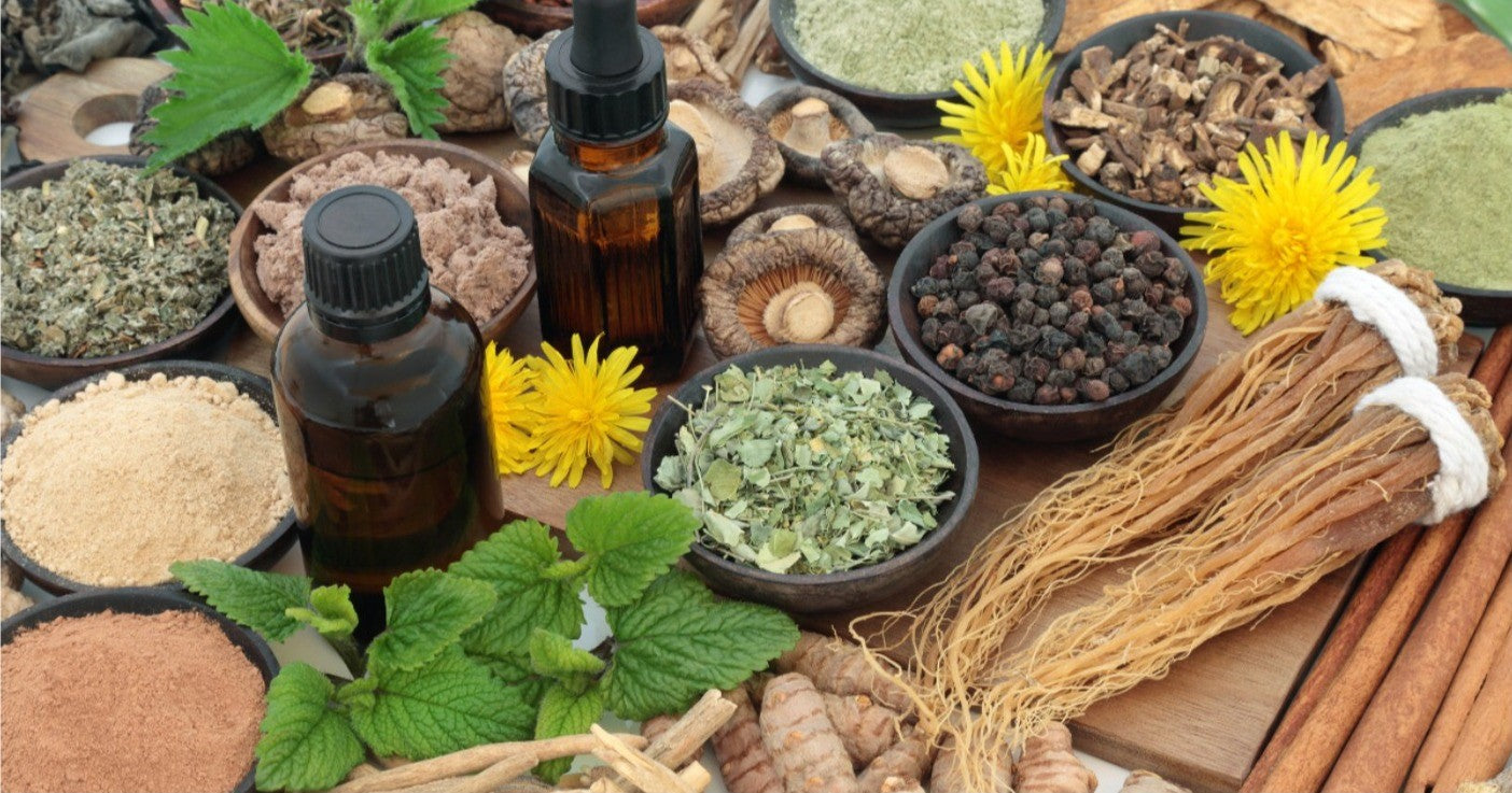 Harnessing the Power of Adaptogens: Understanding Their Role in Health and Wellness