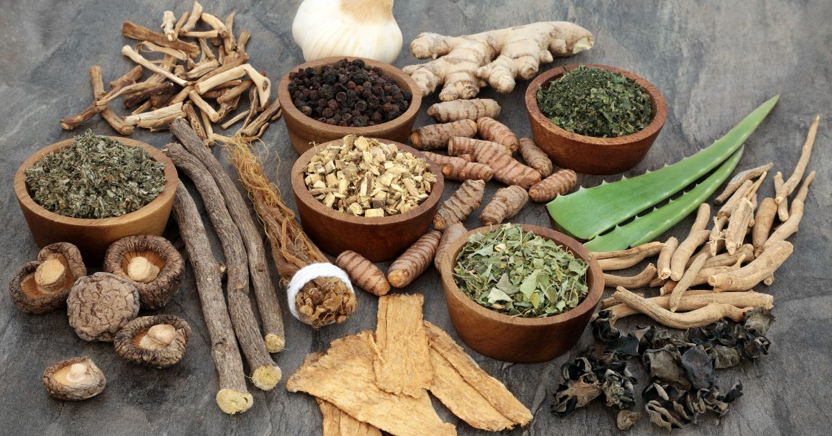 The Ashwagandha and Ginseng Showdown: Which Adaptogen Reigns Supreme?