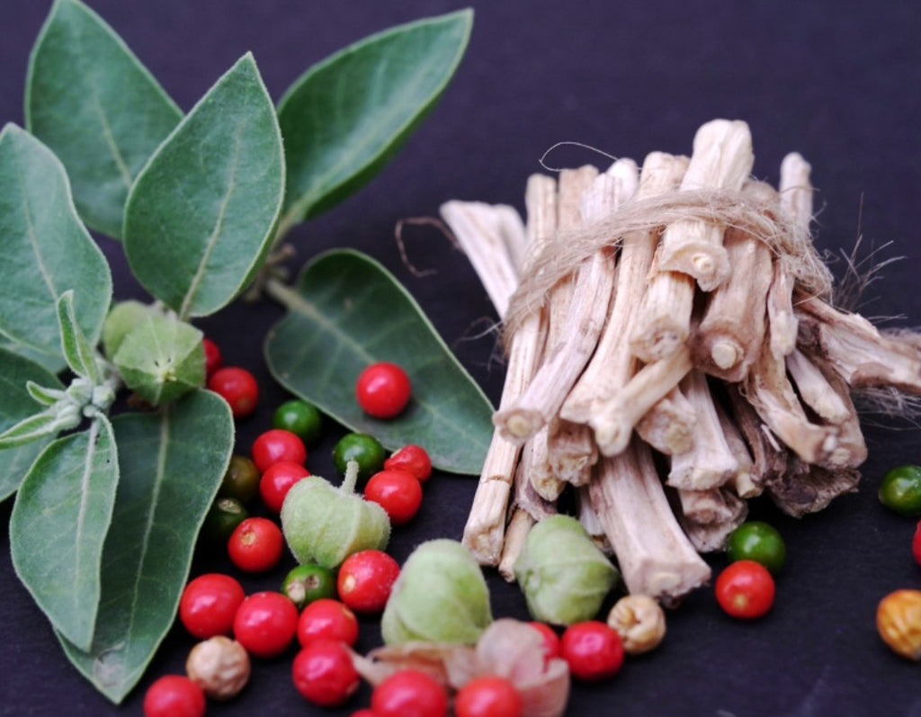 Comparison of Ginseng vs. Ashwagandha