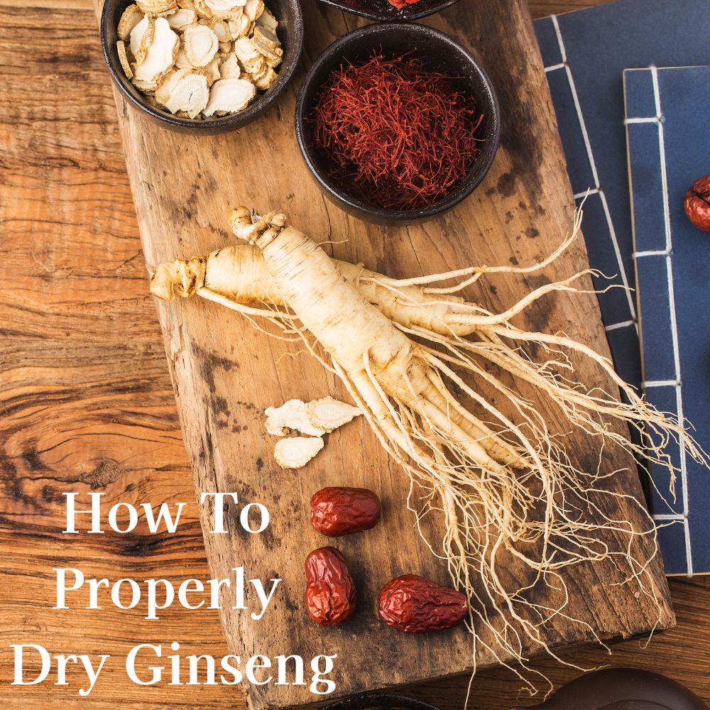 Um guia completo sobre como secar adequadamente o ginseng