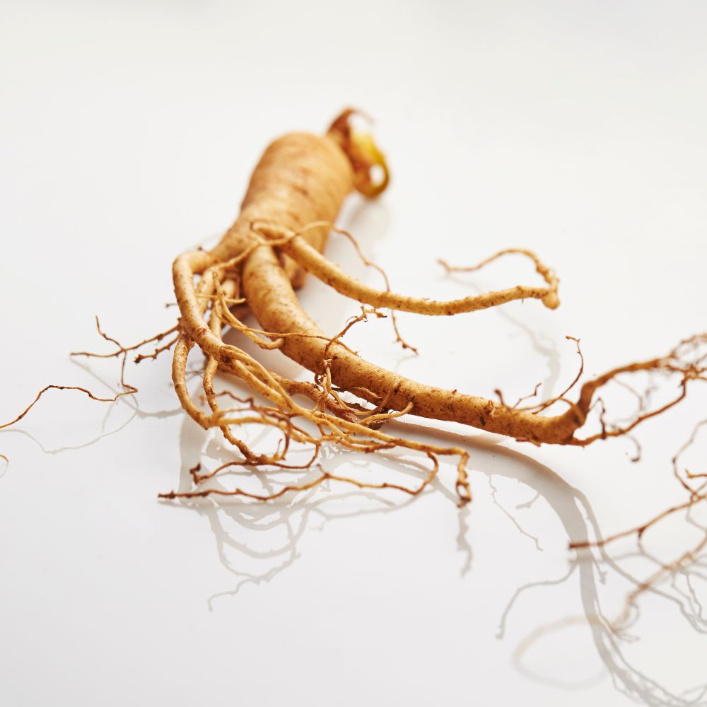 What is Ginseng