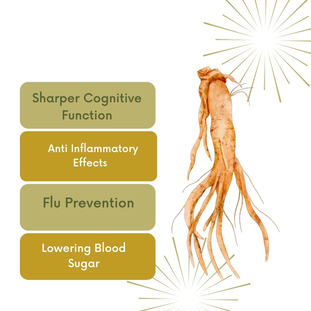 What are the Health Benefits of Ginseng?