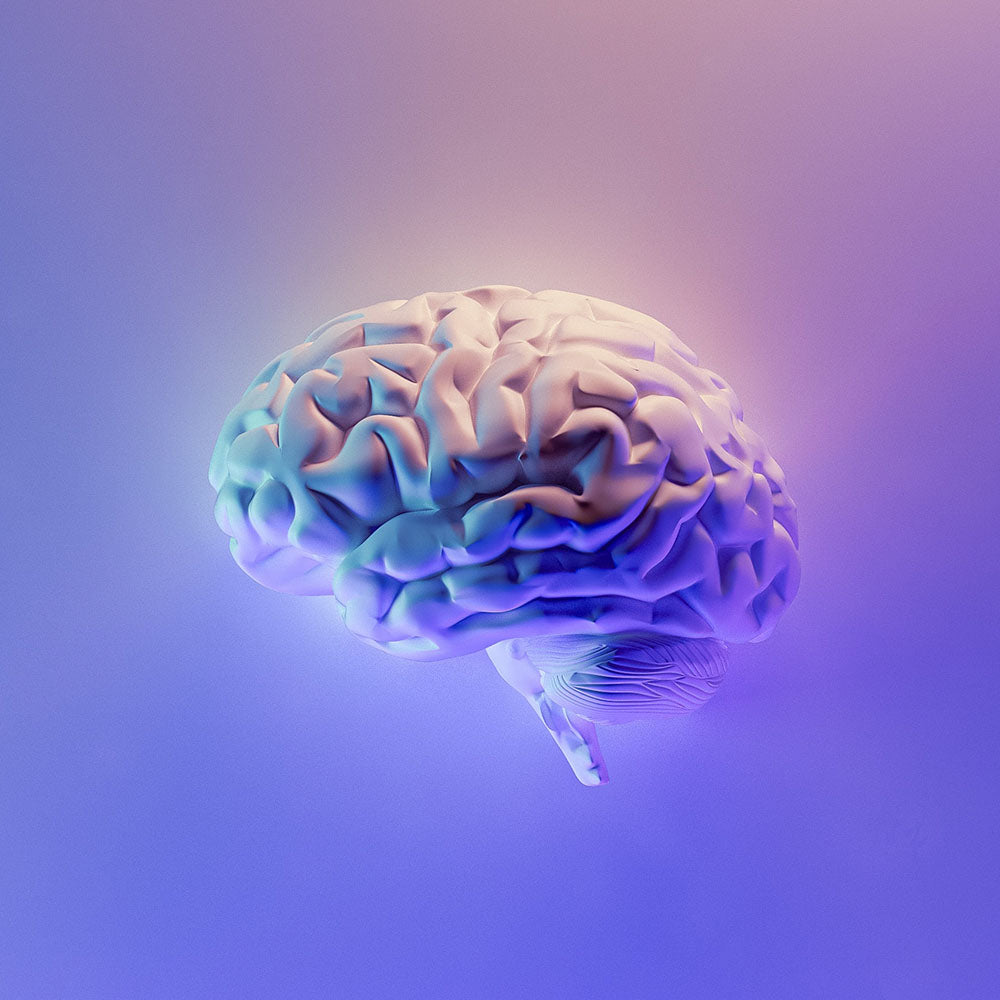 人参为大脑–草药如何促进心理健康