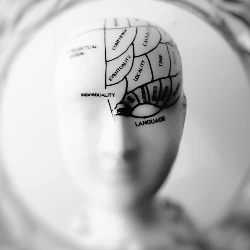 Efectos extraordinarios del ginseng coreano en el cerebro y los trastornos neurológicos