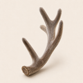 Deer Antler