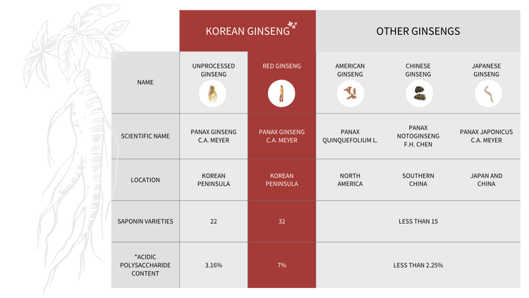 Korean Red Ginseng CheongKwanJang