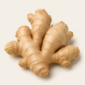 Ginger