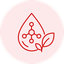 Ginsenoside Content
