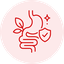 Gut Health Support